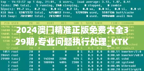 2024澳门精准正版免费大全329期,专业问题执行处理_KTK4.69