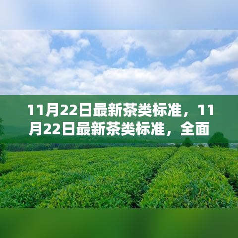 最新茶类标准全面评测与介绍，深度解读11月22日更新