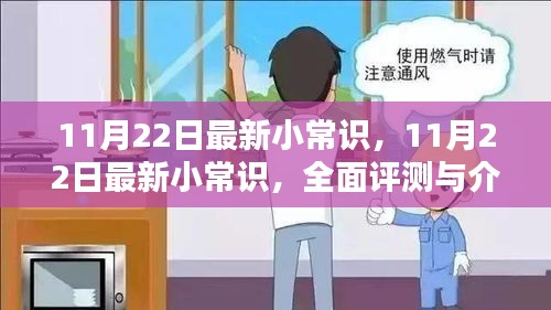 最新小常识全面评测与介绍，11月22日更新内容揭秘