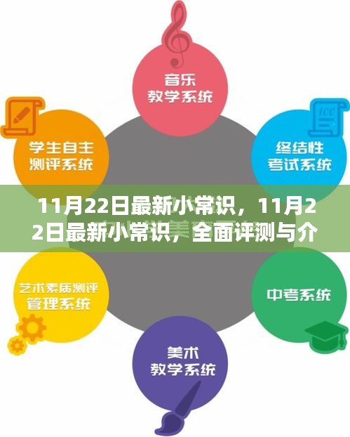 最新小常识全面评测与介绍,11月22日更新内容揭秘