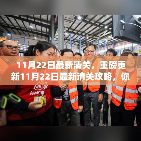 11月22日最新清关攻略，跨境购物必备指南