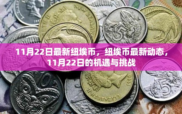 纽埃币最新动态，11月22日的机遇与挑战分析