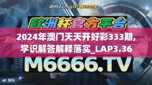 2024年澳门天天开好彩333期,学识解答解释落实_LAP3.36