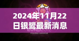 银鹭新篇章，日常中的奇妙相遇与深厚友情（温馨消息，2024年11月22日更新）