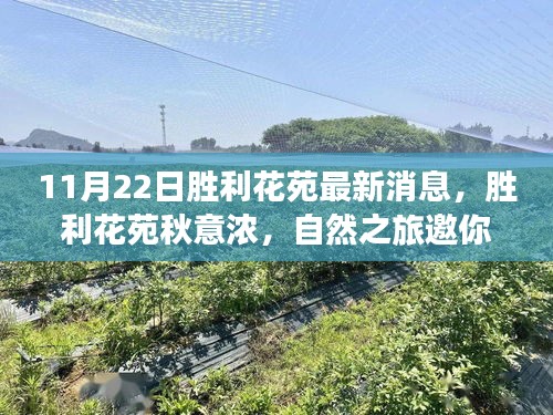 胜利花苑心灵之旅启航，秋意浓，共赴家园新篇章