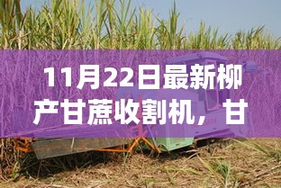 柳产甘蔗收割机的奇妙之旅，友情与陪伴的温馨篇章