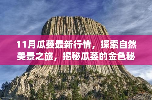 揭秘瓜蒌行情与探索自然美景，启程寻找宁静与平和的金色秘密之旅