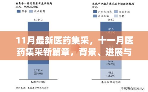 11月医药集采新篇章，背景、进展与深度影响剖析