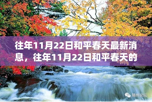 往年11月22日和平春天最新动态，三大要点深度解读