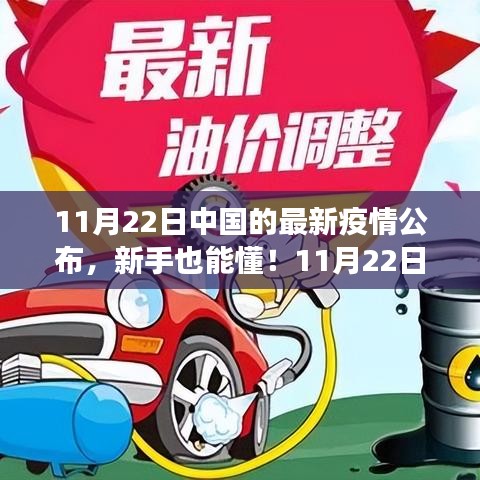 中国最新疫情公布解读与步骤指南（11月22日版）新手也能轻松了解！
