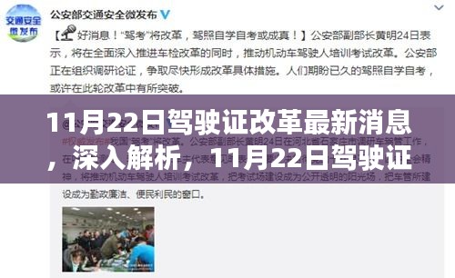 11月22日驾驶证改革深度解析与全方位评测，特性、体验、竞争对比及目标用户群体