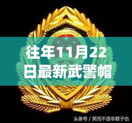 武警帽徽的秘密，独特风尚探索之旅