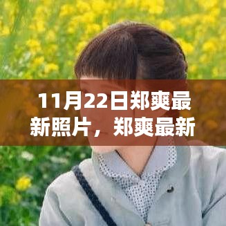 郑爽最新照片亮相，星光熠熠的瞬间与时代影响力深度解析