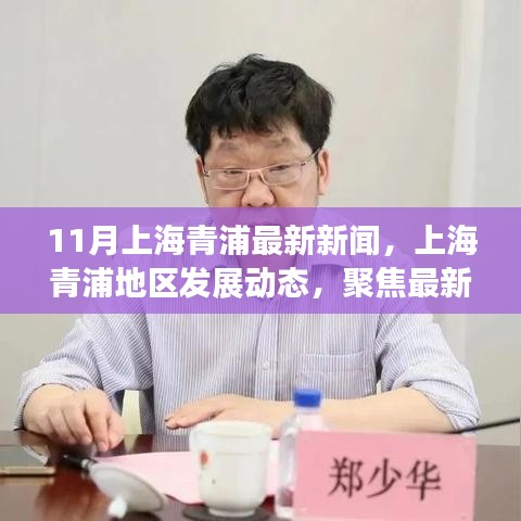 上海青浦最新发展动态及观点探讨，聚焦11月新闻热点