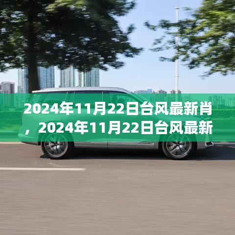 台风最新动态解读与应对指南，2024年11月22日台风最新消息