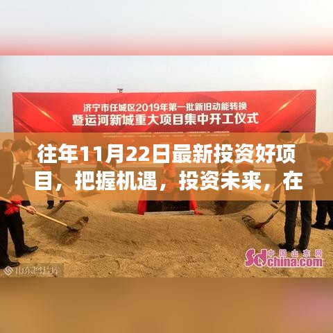 往年11月22日投资启示录，把握黄金时机，投资未来新机遇