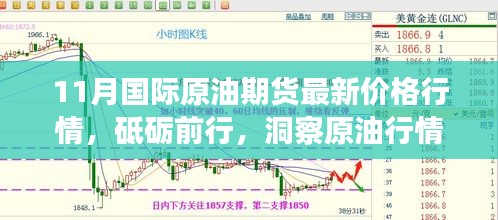 11月国际原油期货行情洞察,智慧与勇气砥砺前行,最新价格行情解析