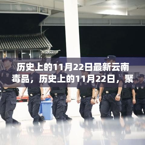 历史上的11月22日，聚焦云南毒品现状及其深远影响