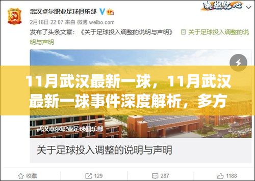 11月武汉最新一球事件，多角度深度解析与我的观点