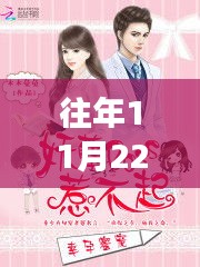 往年11月22日幸孕蜜宠热门，我的独特见解与分享