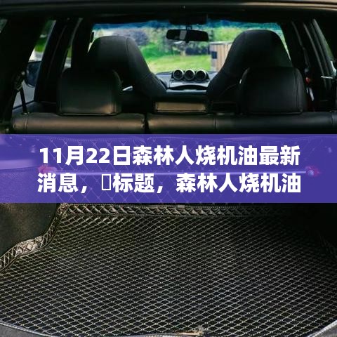 撺哄鸟乱 第3页