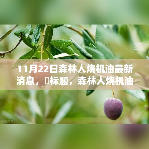 森林人烧机油事件背后的故事,变化、学习与自信的力量,最新消息揭秘