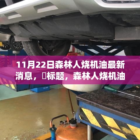 森林人烧机油事件背后的故事,变化、学习与自信的力量,最新消息揭秘