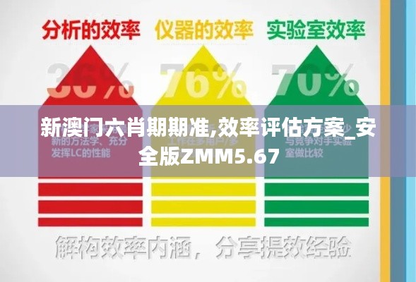 新澳门六肖期期准,效率评估方案_安全版ZMM5.67