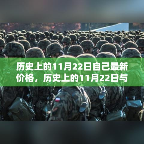 历史上的11月22日最新价格深度解析与观点阐述