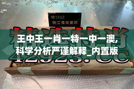 王中王一肖一特一中一澳,科学分析严谨解释_内置版SNG5.7