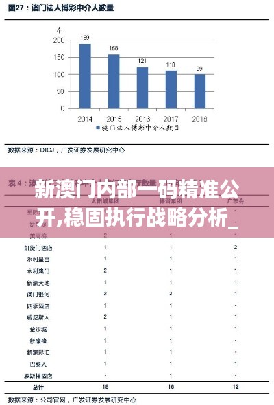 新澳门内部一码精准公开,稳固执行战略分析_共享版TJK5.76