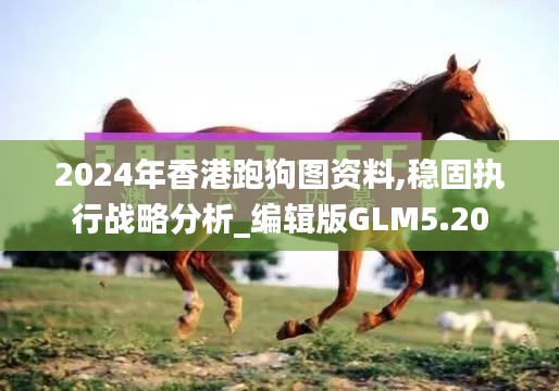 2024年香港跑狗图资料,稳固执行战略分析_编辑版GLM5.20