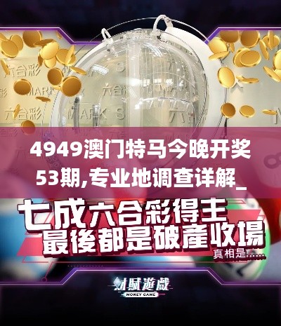 4949澳门特马今晚开奖53期,专业地调查详解_进口版PNR5.42