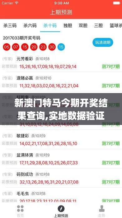 新澳门特马今期开奖结果查询,实地数据验证_酷炫版FNU5.80