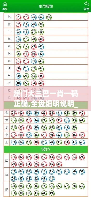 澳门大三巴一肖一码正确,全盘细明说明_结合版VXB5.39