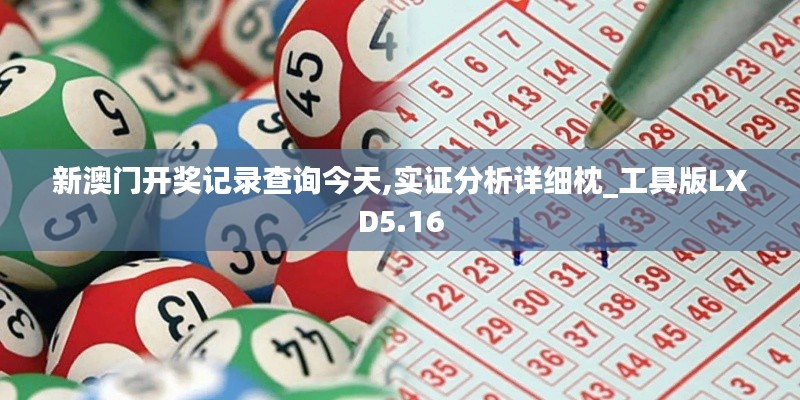 新澳门开奖记录查询今天,实证分析详细枕_工具版LXD5.16