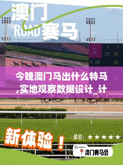 今晚澳门马出什么特马,实地观察数据设计_计算能力版NFQ5.81