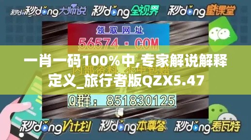 一肖一码100%中,专家解说解释定义_旅行者版QZX5.47