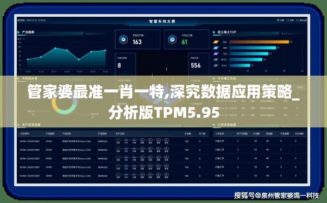 管家婆最准一肖一特,深究数据应用策略_分析版TPM5.95