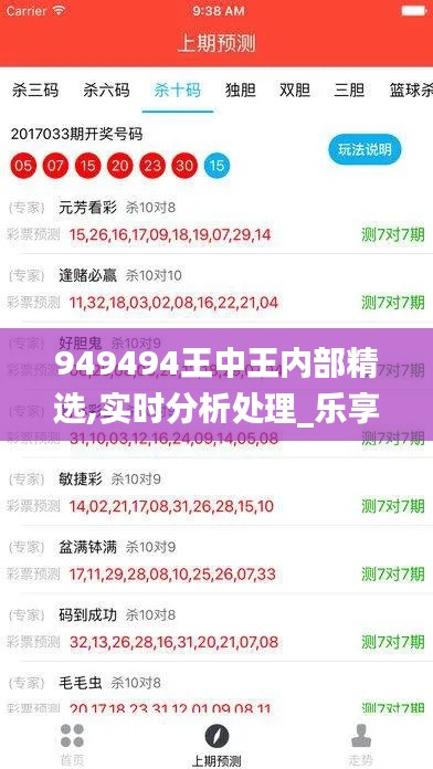 949494王中王内部精选,实时分析处理_乐享版GOT5.80