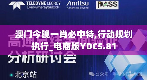 澳门今晚一肖必中特,行动规划执行_电商版YDC5.81