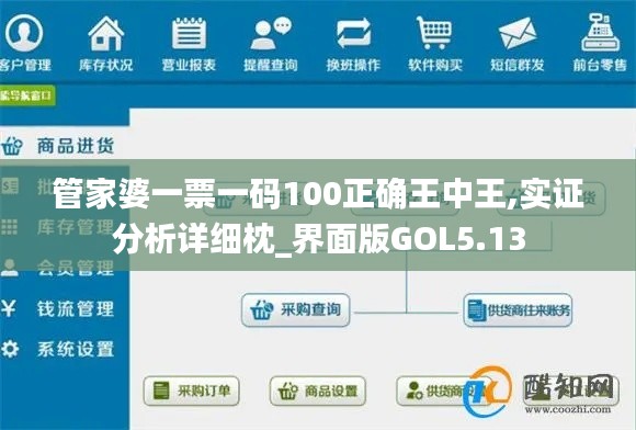 管家婆一票一码100正确王中王,实证分析详细枕_界面版GOL5.13