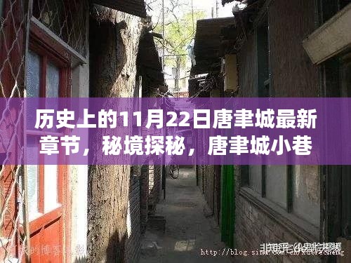 秘境探秘，唐聿城小巷特色小店与神秘章节揭秘