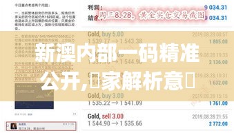 新澳内部一码精准公开,專家解析意見_娱乐版GHE5.80