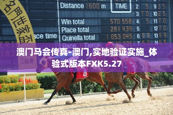 澳门马会传真-澳门,实地验证实施_体验式版本FXK5.27