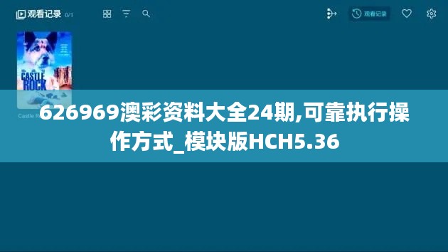 626969澳彩资料大全24期,可靠执行操作方式_模块版HCH5.36