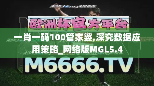 一肖一码100管家婆,深究数据应用策略_网络版MGL5.4