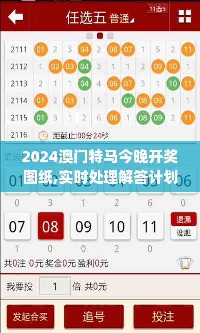 2024澳门特马今晚开奖图纸,实时处理解答计划_社交版OQV5.22