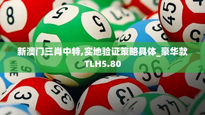 新澳门三肖中特,实地验证策略具体_豪华款TLH5.80