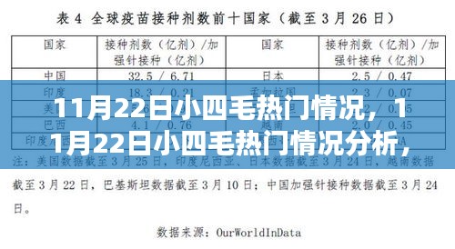 11月22日小四毛热门现象深度解析,我的观点与立场